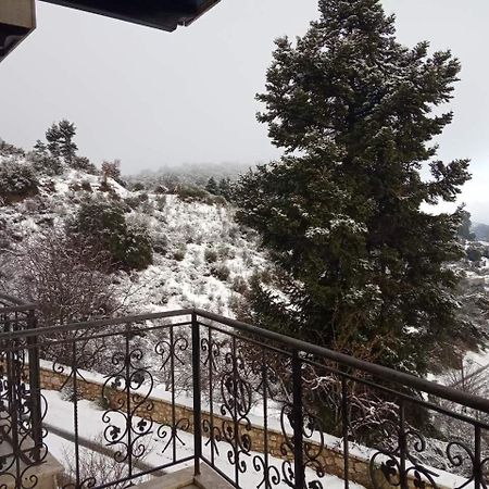Xenonas Vasilikou Otel Valtessiniko Dış mekan fotoğraf